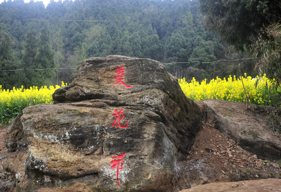 熱烈祝賀南部縣首屆菜花節(jié)隆重召開！