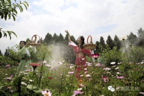 “‘微’觀南部?絢彩端午” “正南昆杯”南部縣首屆微電影節(jié)活動開始啦！