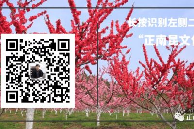 《寺外桃源講花卉》–喜悅熱烈的大麗花想告訴你福利來咯！