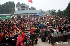 村晚十五周年盛典，星光大道明星與您同慶！