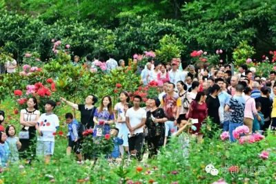 沸騰的小山村——伏虎寺外桃源，令人震撼的美！