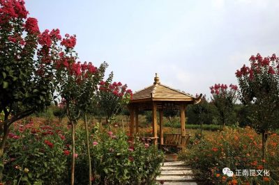 從升鐘湖到八爾湖，都是我們的親水夢(mèng)