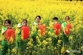 抗擊疫情 擁抱春天，2020南部縣西水鎮(zhèn)網(wǎng)絡(luò)油菜花文化節(jié)